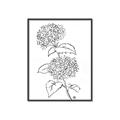 Picture of French Hydrangea Drawing _GroupedProduct_Rectangle_Portrait_Canvas_Framed_