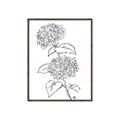 Picture of French Hydrangea Drawing _GroupedProduct_Rectangle_Portrait_Canvas_Framed_
