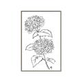 Picture of French Hydrangea Drawing _GroupedProduct_Rectangle_Portrait_Canvas_Framed_