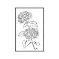 Picture of French Hydrangea Drawing _GroupedProduct_Rectangle_Portrait_Canvas_Framed_
