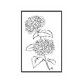 Picture of French Hydrangea Drawing _GroupedProduct_Rectangle_Portrait_Canvas_Framed_