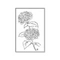 Picture of French Hydrangea Drawing _GroupedProduct_Rectangle_Portrait_Canvas_Framed_