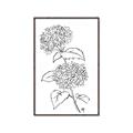 Picture of French Hydrangea Drawing _GroupedProduct_Rectangle_Portrait_Canvas_Framed_