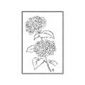 Picture of French Hydrangea Drawing _GroupedProduct_Rectangle_Portrait_Canvas_Framed_