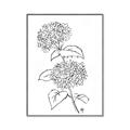 Picture of French Hydrangea Drawing _GroupedProduct_Rectangle_Portrait_Canvas_Framed_