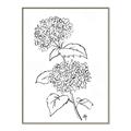 Picture of French Hydrangea Drawing _GroupedProduct_Rectangle_Portrait_Canvas_Framed_