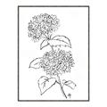 Picture of French Hydrangea Drawing _GroupedProduct_Rectangle_Portrait_Canvas_Framed_