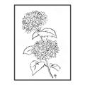 Picture of French Hydrangea Drawing _GroupedProduct_Rectangle_Portrait_Canvas_Framed_