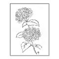 Picture of French Hydrangea Drawing _GroupedProduct_Rectangle_Portrait_Canvas_Framed_