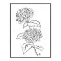 Picture of French Hydrangea Drawing _GroupedProduct_Rectangle_Portrait_Canvas_Framed_
