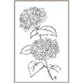 Picture of French Hydrangea Drawing _GroupedProduct_Rectangle_Portrait_Canvas_Framed_