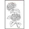 Picture of French Hydrangea Drawing _GroupedProduct_Rectangle_Portrait_Canvas_Framed_