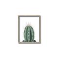 Picture of Cactus     _GroupedProduct_Rectangle_Portrait_Canvas_Framed_
