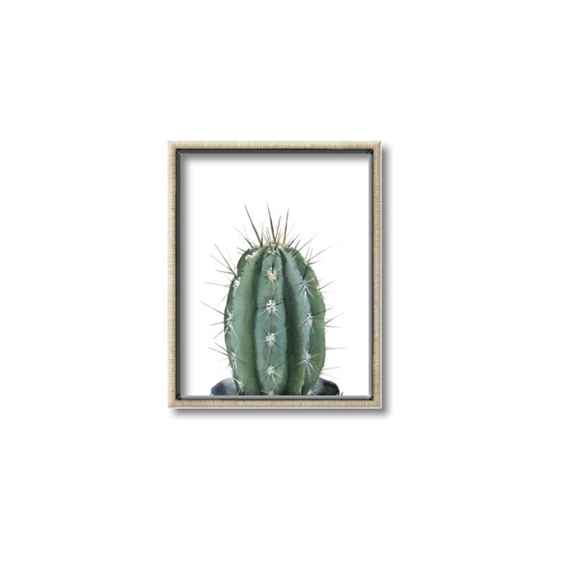 Picture of Cactus     _GroupedProduct_Rectangle_Portrait_Canvas_Framed_