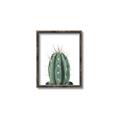 Picture of Cactus     _GroupedProduct_Rectangle_Portrait_Canvas_Framed_