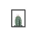 Picture of Cactus     _GroupedProduct_Rectangle_Portrait_Canvas_Framed_
