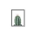 Picture of Cactus     _GroupedProduct_Rectangle_Portrait_Canvas_Framed_