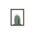 Picture of Cactus     _GroupedProduct_Rectangle_Portrait_Canvas_Framed_
