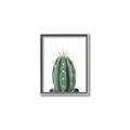 Picture of Cactus     _GroupedProduct_Rectangle_Portrait_Canvas_Framed_