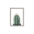 Picture of Cactus     _GroupedProduct_Rectangle_Portrait_Canvas_Framed_