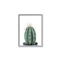 Picture of Cactus     _GroupedProduct_Rectangle_Portrait_Canvas_Framed_