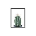 Picture of Cactus     _GroupedProduct_Rectangle_Portrait_Canvas_Framed_