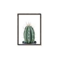 Picture of Cactus     _GroupedProduct_Rectangle_Portrait_Canvas_Framed_
