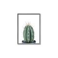 Picture of Cactus     _GroupedProduct_Rectangle_Portrait_Canvas_Framed_