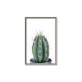 Picture of Cactus     _GroupedProduct_Rectangle_Portrait_Canvas_Framed_