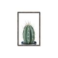 Picture of Cactus     _GroupedProduct_Rectangle_Portrait_Canvas_Framed_