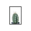 Picture of Cactus     _GroupedProduct_Rectangle_Portrait_Canvas_Framed_