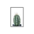 Picture of Cactus     _GroupedProduct_Rectangle_Portrait_Canvas_Framed_