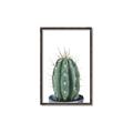 Picture of Cactus     _GroupedProduct_Rectangle_Portrait_Canvas_Framed_