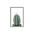 Picture of Cactus     _GroupedProduct_Rectangle_Portrait_Canvas_Framed_