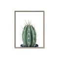 Picture of Cactus     _GroupedProduct_Rectangle_Portrait_Canvas_Framed_
