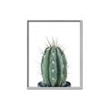 Picture of Cactus     _GroupedProduct_Rectangle_Portrait_Canvas_Framed_