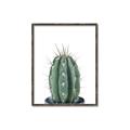 Picture of Cactus     _GroupedProduct_Rectangle_Portrait_Canvas_Framed_