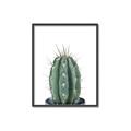 Picture of Cactus     _GroupedProduct_Rectangle_Portrait_Canvas_Framed_
