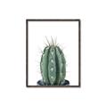 Picture of Cactus     _GroupedProduct_Rectangle_Portrait_Canvas_Framed_