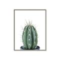 Picture of Cactus     _GroupedProduct_Rectangle_Portrait_Canvas_Framed_