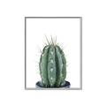 Picture of Cactus     _GroupedProduct_Rectangle_Portrait_Canvas_Framed_