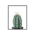 Picture of Cactus     _GroupedProduct_Rectangle_Portrait_Canvas_Framed_