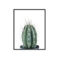 Picture of Cactus     _GroupedProduct_Rectangle_Portrait_Canvas_Framed_