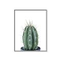 Picture of Cactus     _GroupedProduct_Rectangle_Portrait_Canvas_Framed_