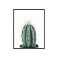 Picture of Cactus     _GroupedProduct_Rectangle_Portrait_Canvas_Framed_