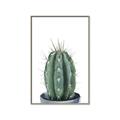 Picture of Cactus     _GroupedProduct_Rectangle_Portrait_Canvas_Framed_