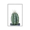 Picture of Cactus     _GroupedProduct_Rectangle_Portrait_Canvas_Framed_
