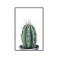 Picture of Cactus     _GroupedProduct_Rectangle_Portrait_Canvas_Framed_