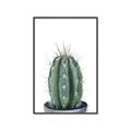 Picture of Cactus     _GroupedProduct_Rectangle_Portrait_Canvas_Framed_