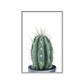 Picture of Cactus     _GroupedProduct_Rectangle_Portrait_Canvas_Framed_